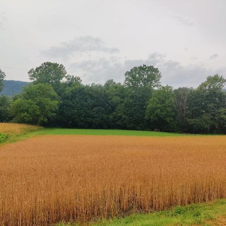 Agriturismo Munarin Caterina Mioglia 外观 照片