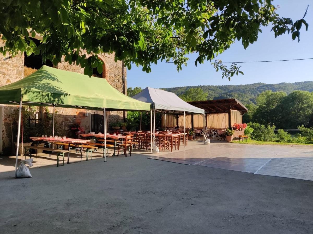 Agriturismo Munarin Caterina Mioglia 外观 照片